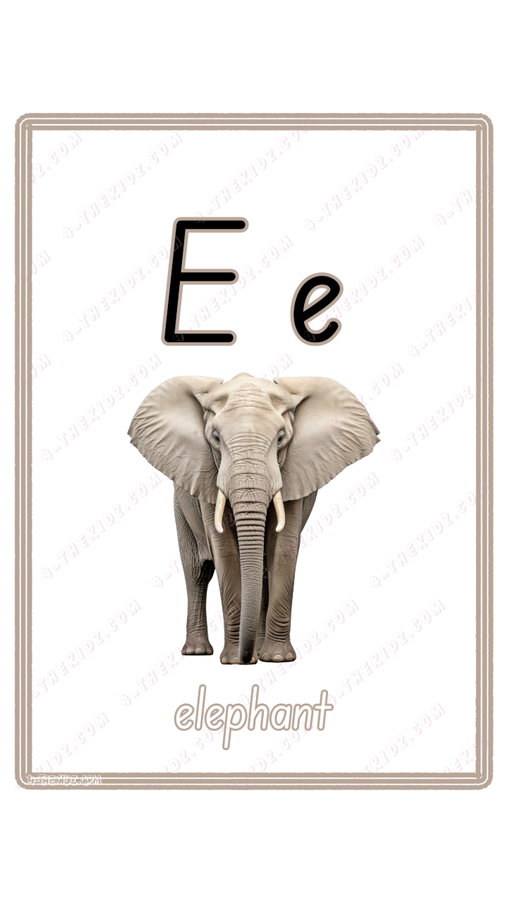 Learning Flash Card E | Elephant