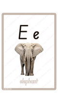 Learning Flash Card E | Elephant