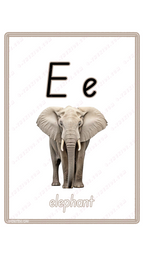 Learning Flash Card E | Elephant