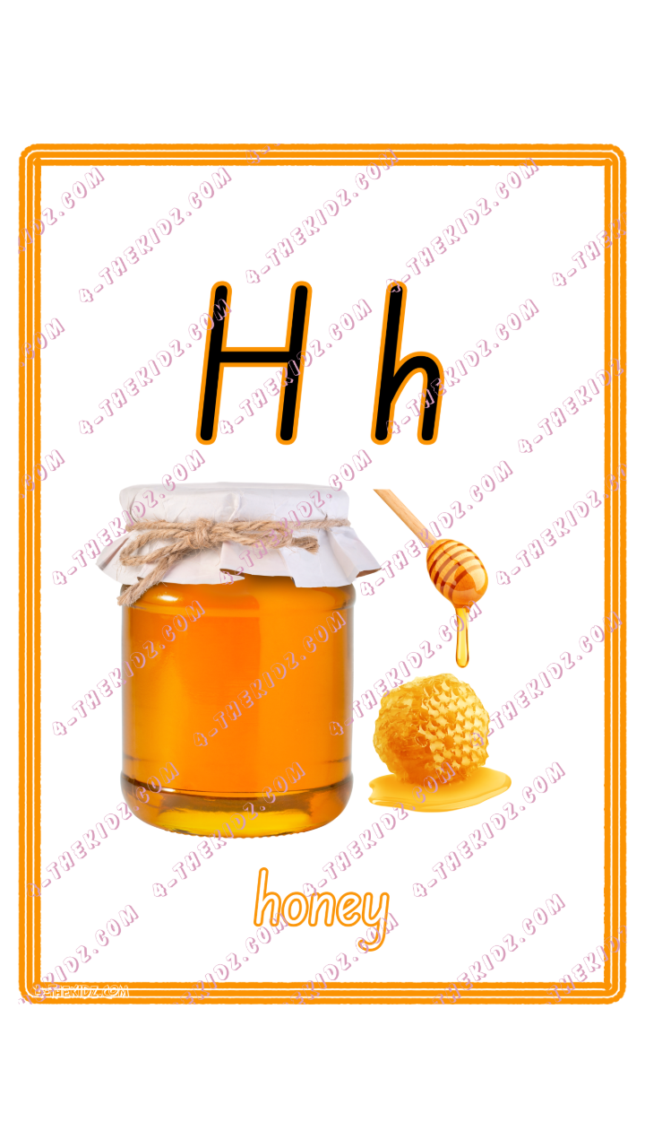 Learning Flash Card H | Honey
