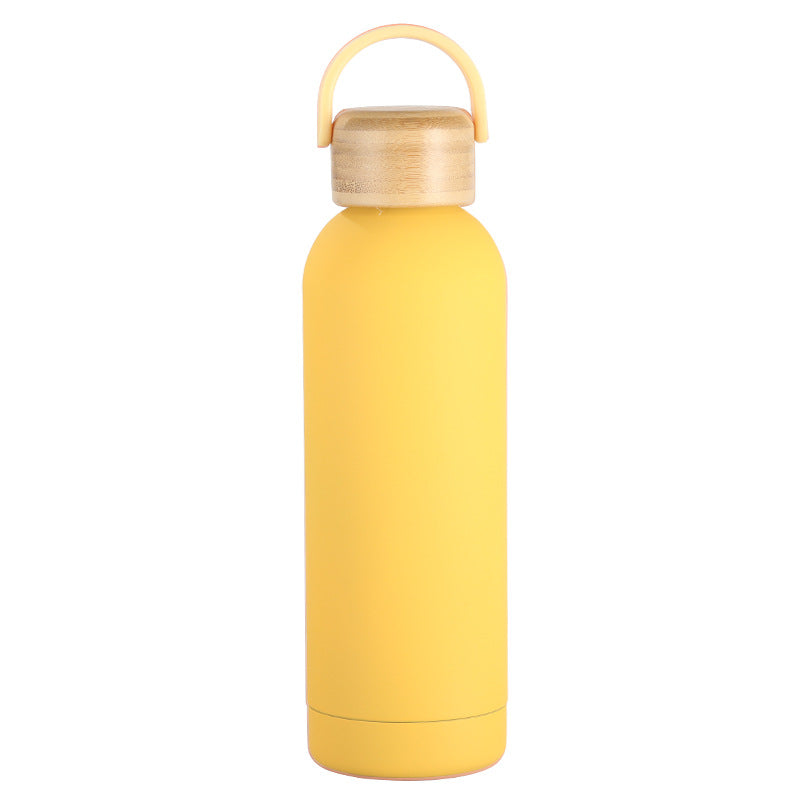 Stainless Steel Vacuum Insulation Water Bottle with Handle