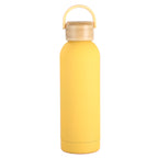 Stainless Steel Vacuum Insulation Water Bottle with Handle