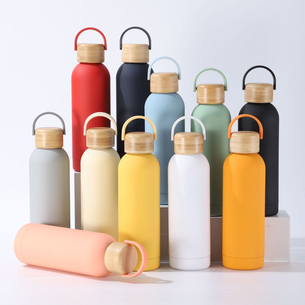 Stainless Steel Vacuum Insulation Water Bottle with Handle
