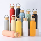 Stainless Steel Vacuum Insulation Water Bottle with Handle