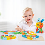 Wooden 3D Puzzle Educational Toy