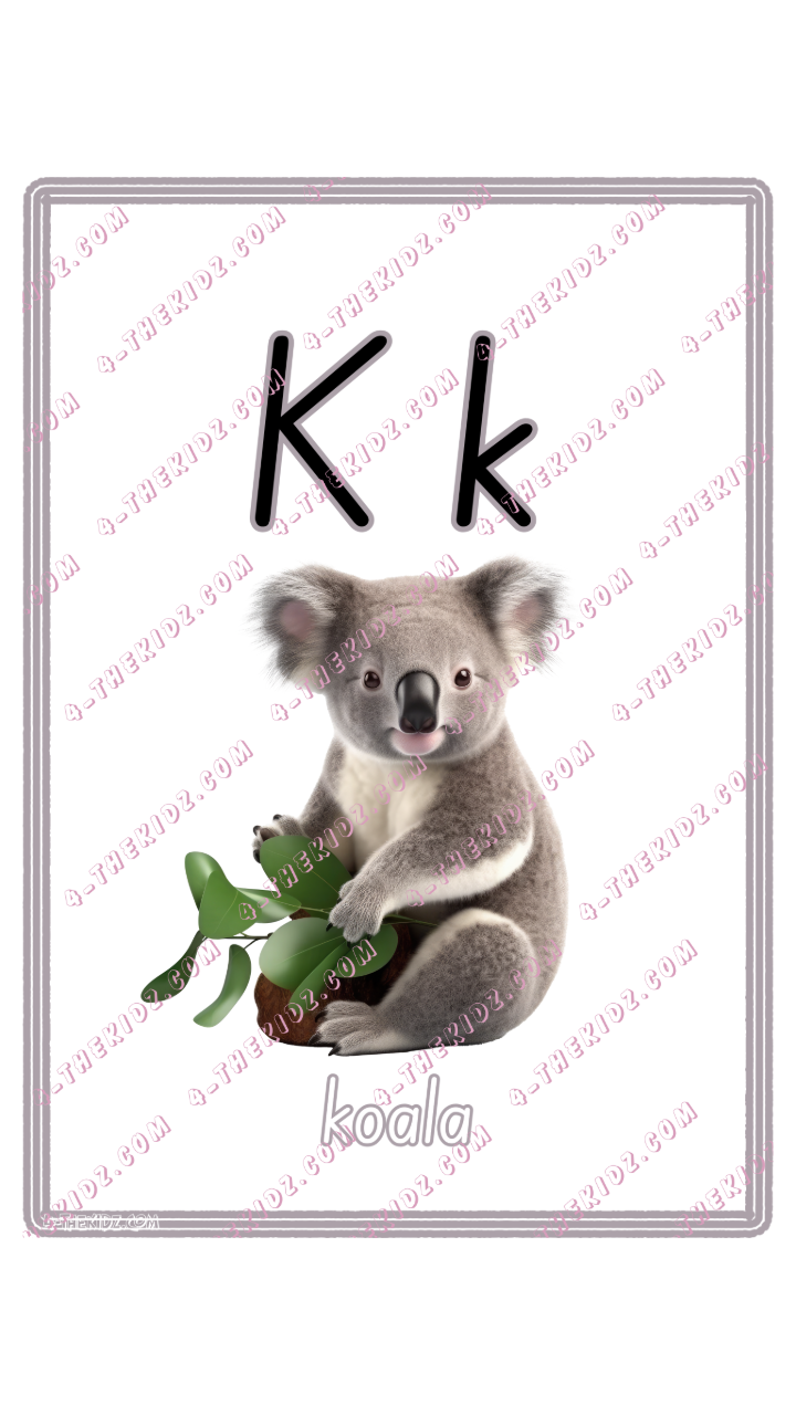 Learning Flash Card K | Koala