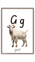 Learning Flashcard G | Goat