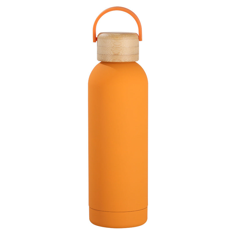 Stainless Steel Vacuum Insulation Water Bottle with Handle