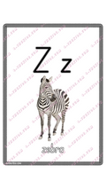 Learning Flash Card Z | Zebra