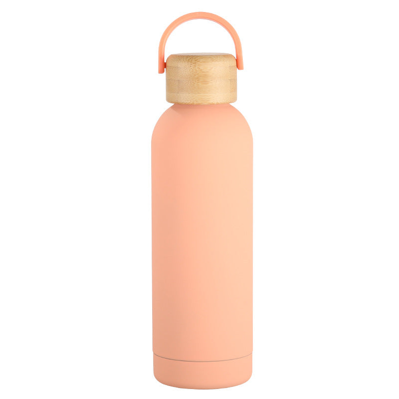 Stainless Steel Vacuum Insulation Water Bottle with Handle