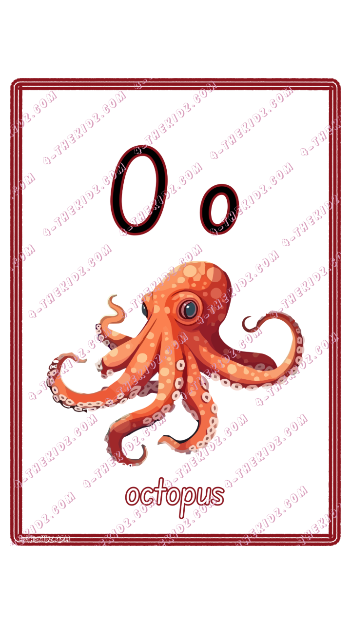 Learning Flash Card O | Octopus
