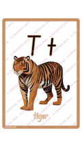 Learning Flash Card T | Tiger