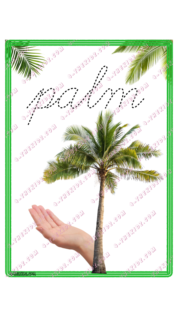 Write Palm | 1 Variant