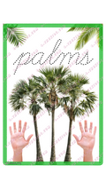 Write Palms | 1 Variant