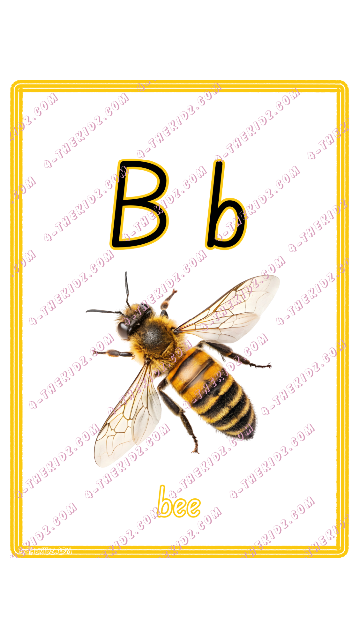 Learning Flash Card B | Bee