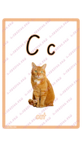 Learning Flash Card C | Cat