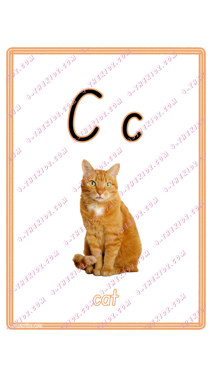 Learning Flash Card C | Cat