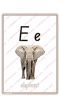 Learning Flash Card E | Elephant