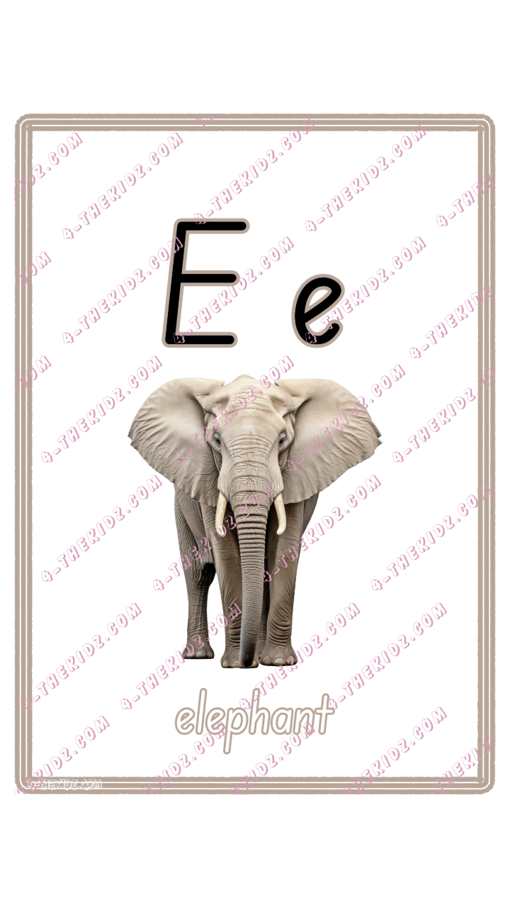 Learning Flash Card E | Elephant