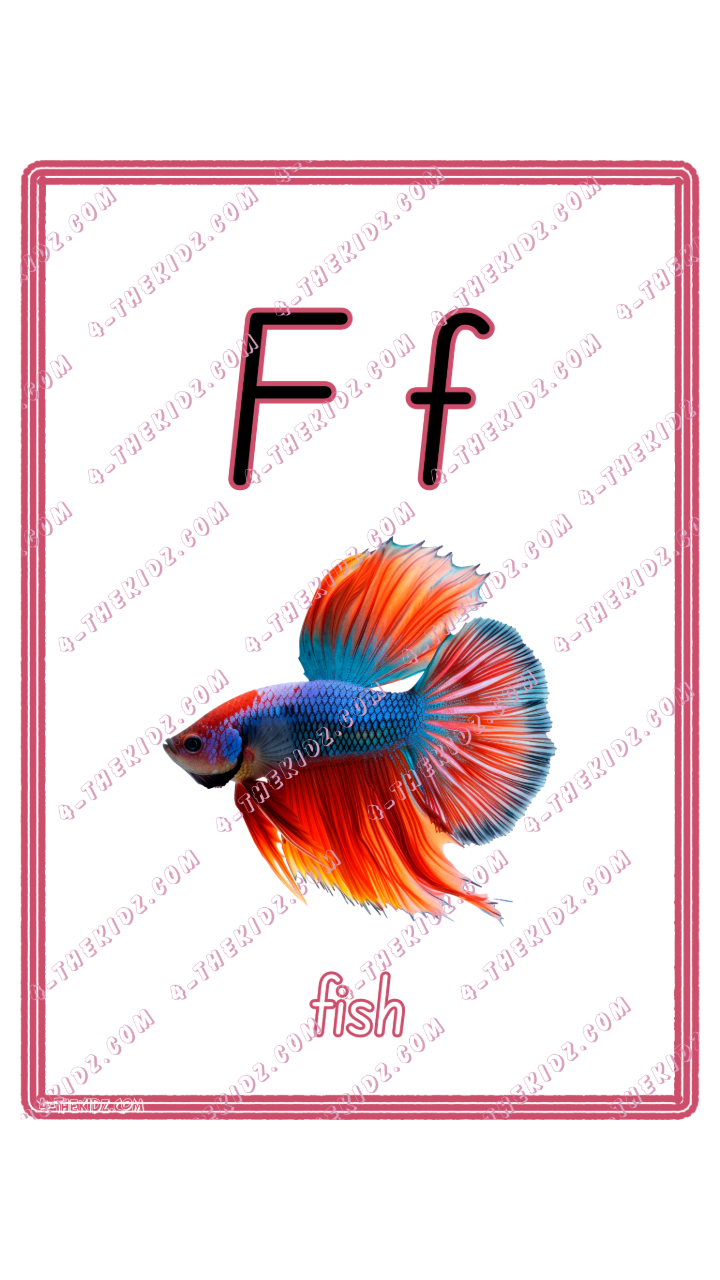 Learning Flash Card F | Fish