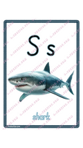 Learning Flash Card S | Shark