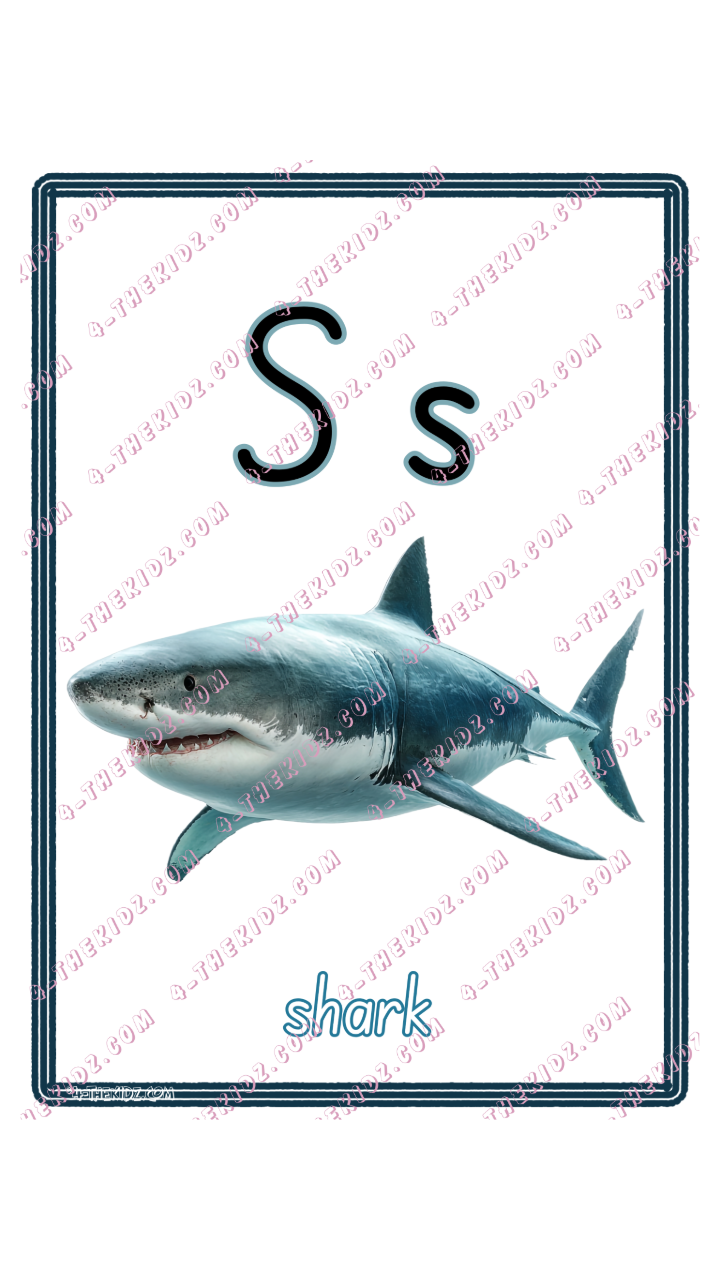 Learning Flash Card S | Shark