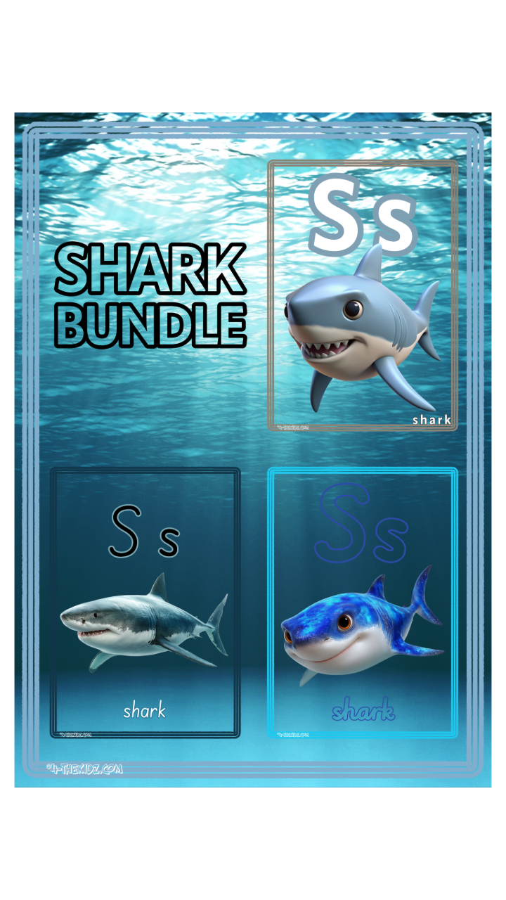 Learning Flash Card S | Shark