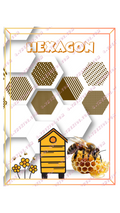 Hexagon Shape Visual Poster – Printable A3 Digital Download