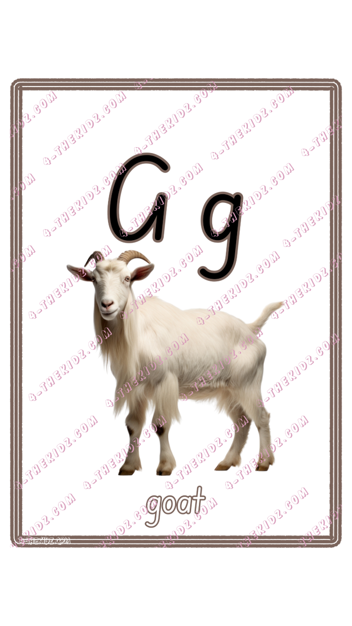 Learning Flash Card G | Goat