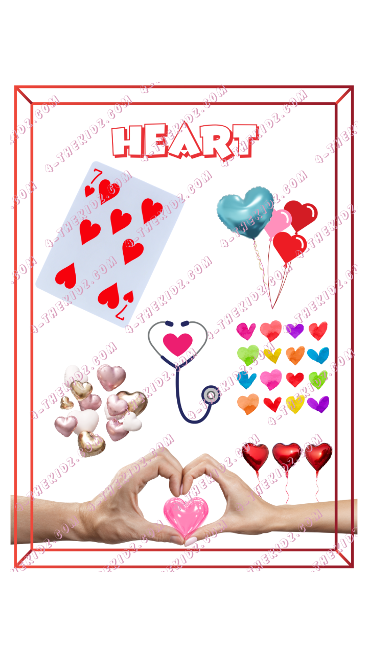 Learn Shapes Visual Cards – 7 Variants