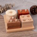 Wooden Geometric Shape Matching Blocks