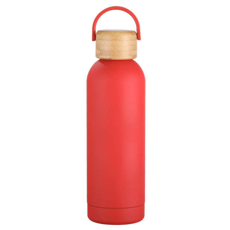 Stainless Steel Vacuum Insulation Water Bottle with Handle