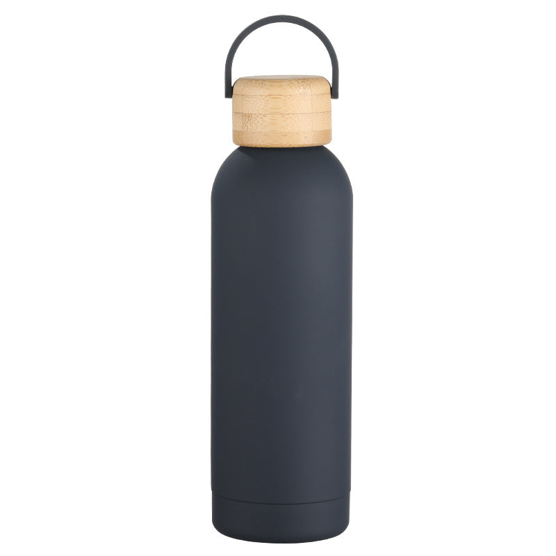 Stainless Steel Vacuum Insulation Water Bottle with Handle