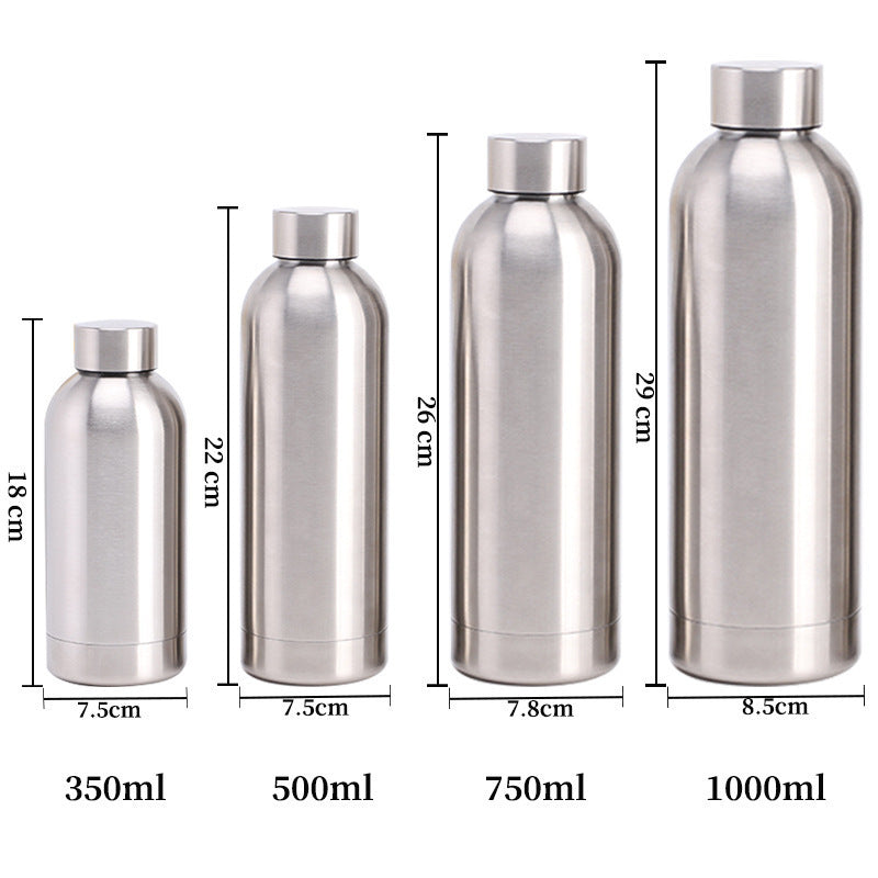 Stainless Steel Vacuum Insulation Water Bottle with Handle
