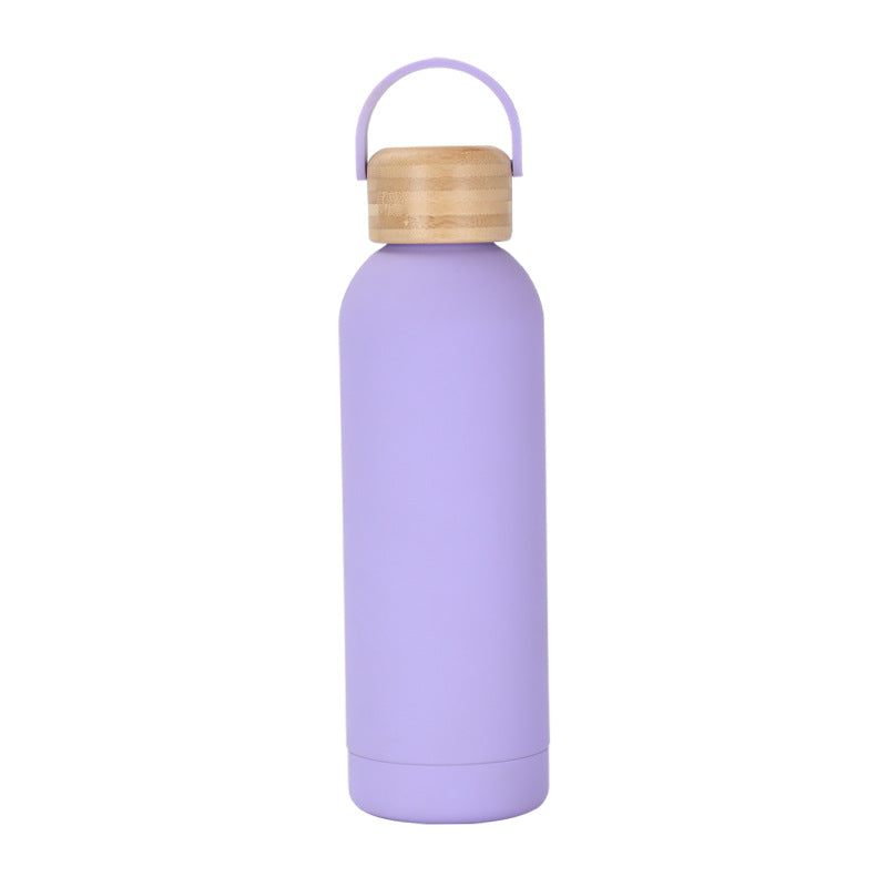Stainless Steel Vacuum Insulation Water Bottle with Handle