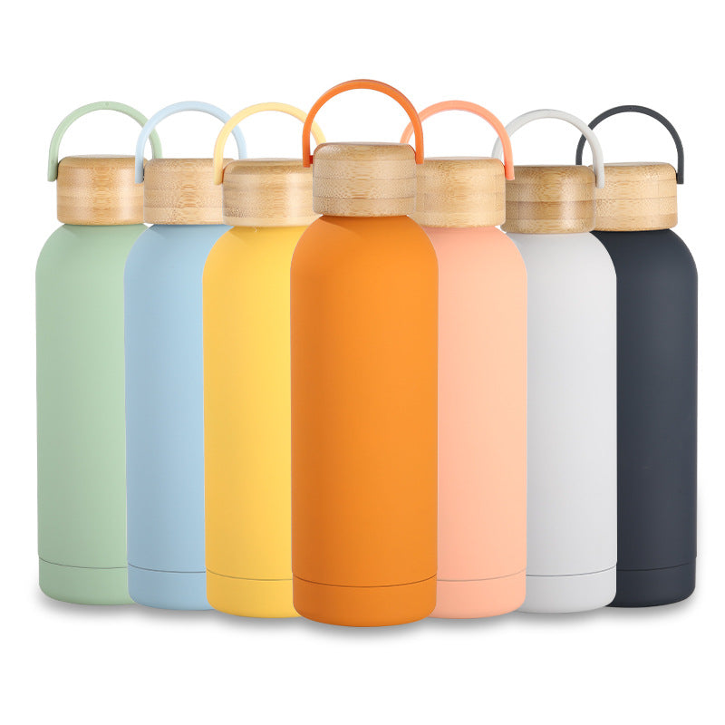 Stainless Steel Vacuum Insulation Water Bottle with Handle
